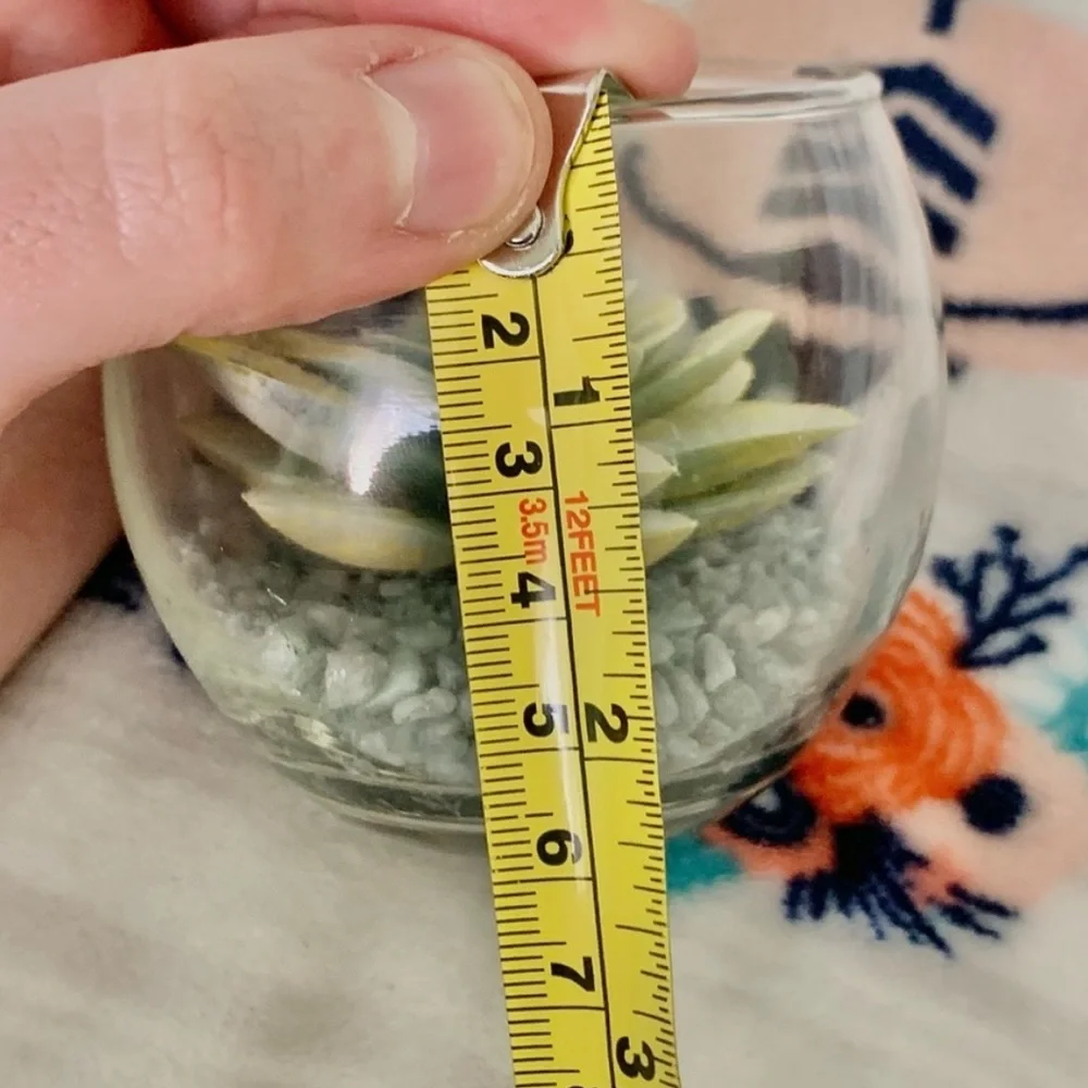 Glass Terrarium Faux Green Succulent Home Cute Mini Decor Accent Art Display
